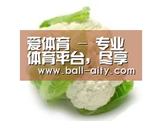 产品名称九