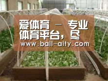 环境展示五