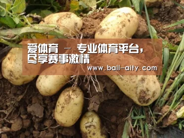 种植基地六