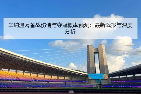 辛纳温网备战伤情与夺冠概率预测：最新战报与深度分析