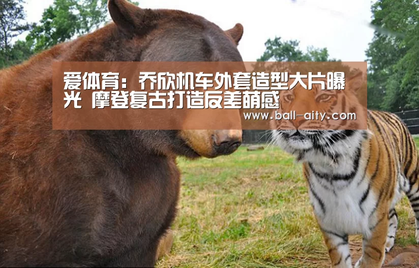 爱体育